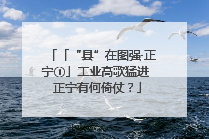 「“县”在图强·正宁①」工业高歌猛进 正宁有何倚仗？