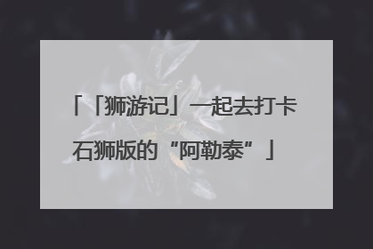 「狮游记」一起去打卡石狮版的“阿勒泰”