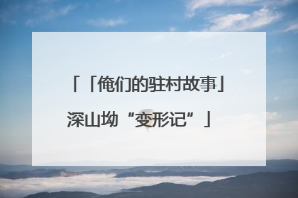 「俺们的驻村故事」深山坳“变形记”