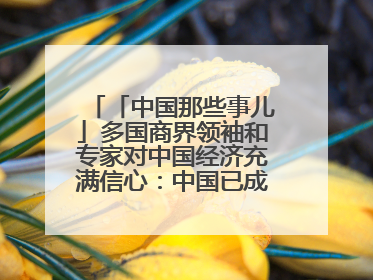 「中国那些事儿」多国商界领袖和专家对中国经济充满信心：中国已成为全球创新中心