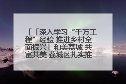 「深入学习“千万工程”经验 推进乡村全面振兴」和美荔城 共富共美 荔城区扎实推进乡村振兴工作