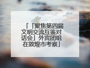 「聚焦第四届文明交流互鉴对话会」外宾团组在敦煌市考察