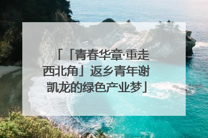 「青春华章·重走西北角」返乡青年谢凯龙的绿色产业梦