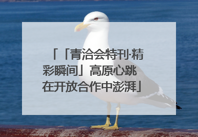 「青洽会特刊·精彩瞬间」高原心跳 在开放合作中澎湃