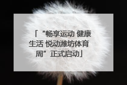 “畅享运动 健康生活 悦动潍坊体育周”正式启动