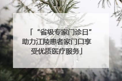 “省级专家门诊日”助力江陵患者家门口享受优质医疗服务