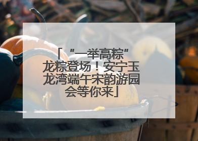 “一举高粽” 龙粽登场！安宁玉龙湾端午宋韵游园会等你来