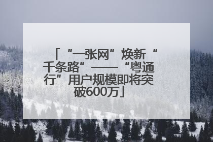 “一张网”焕新“千条路”——“粤通行”用户规模即将突破600万