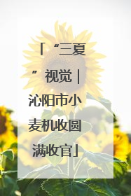 “三夏”视觉｜沁阳市小麦机收圆满收官