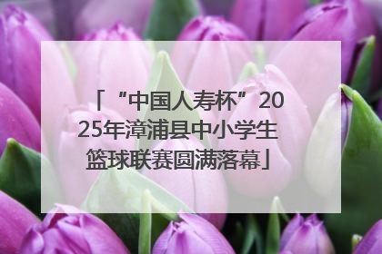 “中国人寿杯”2025年漳浦县中小学生篮球联赛圆满落幕