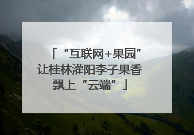 “互联网+果园”让桂林灌阳李子果香飘上“云端”