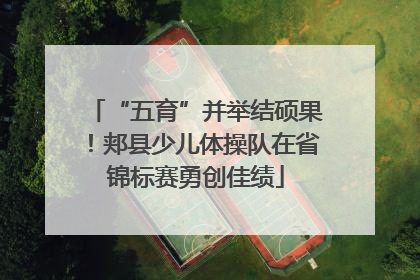 “五育”并举结硕果！郏县少儿体操队在省锦标赛勇创佳绩