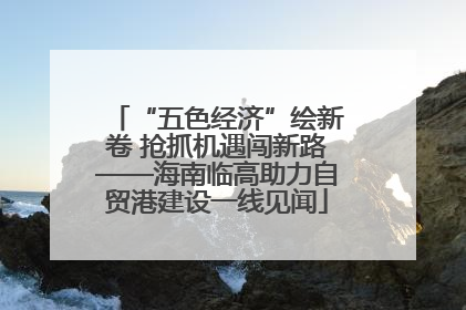 “五色经济”绘新卷 抢抓机遇闯新路——海南临高助力自贸港建设一线见闻
