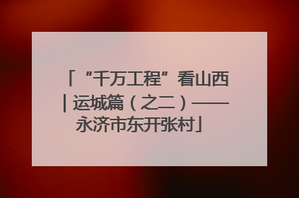 “千万工程”看山西｜运城篇（之二）——永济市东开张村