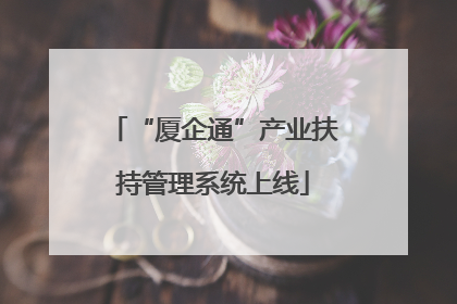 “厦企通”产业扶持管理系统上线