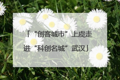 “创客城市”上虞走进“科创名城”武汉