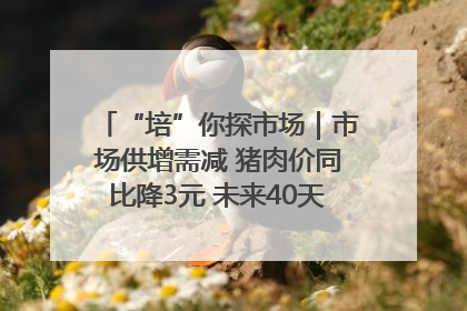 “培”你探市场｜市场供增需减 猪肉价同比降3元 未来40天便宜猪肉敞开吃