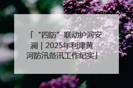 “四防”联动护河安澜｜2025年利津黄河防汛备汛工作纪实