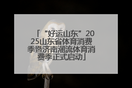 “好运山东”2025山东省体育消费季暨济南潮流体育消费季正式启动
