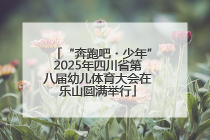 “奔跑吧・少年”2025年四川省第八届幼儿体育大会在乐山圆满举行