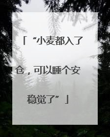 “小麦都入了仓，可以睡个安稳觉了”