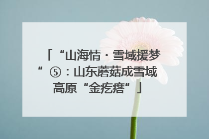 “山海情・雪域援梦”⑤：山东蘑菇成雪域高原“金疙瘩”