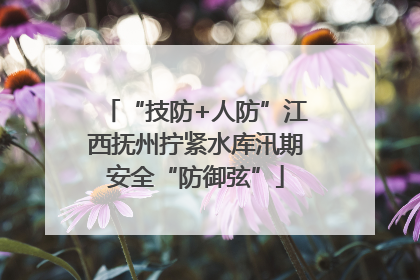 “技防+人防”江西抚州拧紧水库汛期安全“防御弦”