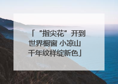 “指尖花”开到世界橱窗 小凉山千年纹样绽新色