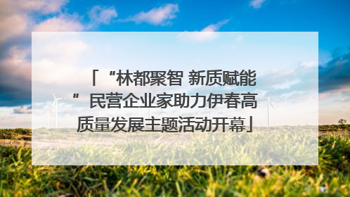 “林都聚智 新质赋能”民营企业家助力伊春高质量发展主题活动开幕