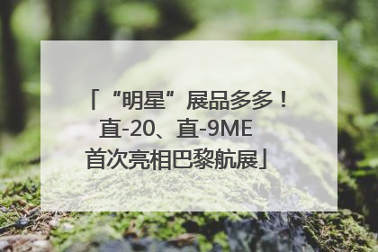 “明星”展品多多！直-20、直-9ME首次亮相巴黎航展