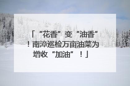 “花香”变“油香”！南漳巡检万亩油菜为增收“加油”！