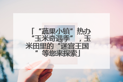 “蔬果小镇”热办“玉米奇遇季”，玉米田里的“迷宫王国”等您来探索