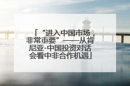 “进入中国市场，非常重要”——从肯尼亚-中国投资对话会看中非合作机遇