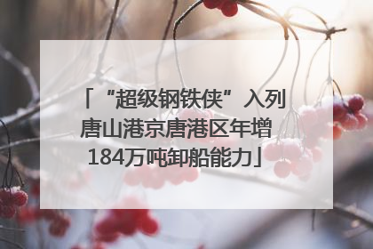 “超级钢铁侠”入列 唐山港京唐港区年增184万吨卸船能力