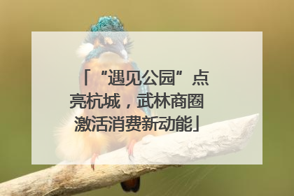 “遇见公园”点亮杭城，武林商圈激活消费新动能