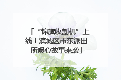 “锦旗收割机”上线！滨城区市东派出所暖心故事来袭