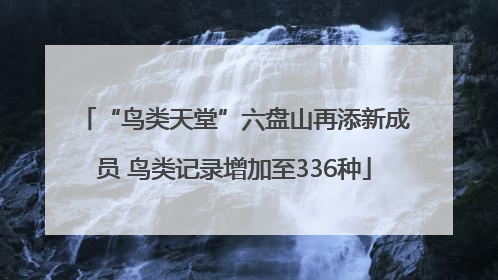 “鸟类天堂”六盘山再添新成员 鸟类记录增加至336种