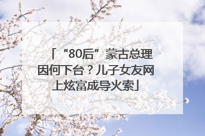 “80后”蒙古总理因何下台？儿子女友网上炫富成导火索
