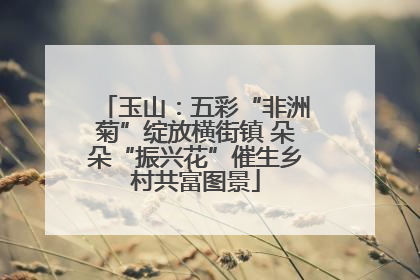 玉山：五彩“非洲菊”绽放横街镇 朵朵“振兴花”催生乡村共富图景