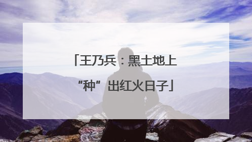 王乃兵：黑土地上“种”出红火日子