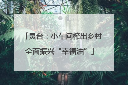 灵台：小车间榨出乡村全面振兴“幸福油”