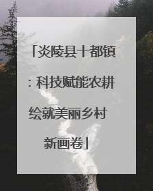 炎陵县十都镇：科技赋能农耕 绘就美丽乡村新画卷