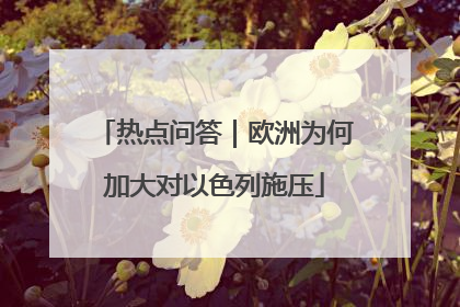 热点问答｜欧洲为何加大对以色列施压