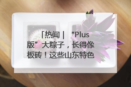 热闻｜“Plus版”大粽子，长得像板砖！这些山东特色粽子你吃过吗？