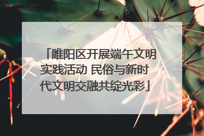 睢阳区开展端午文明实践活动 民俗与新时代文明交融共绽光彩