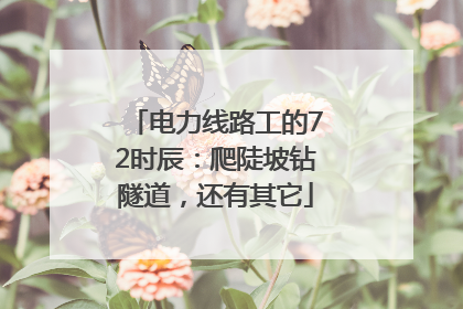 电力线路工的72时辰：爬陡坡钻隧道，还有其它