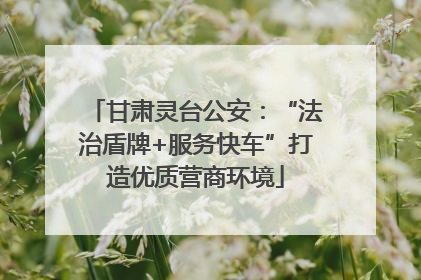 甘肃灵台公安：“法治盾牌+服务快车”打造优质营商环境