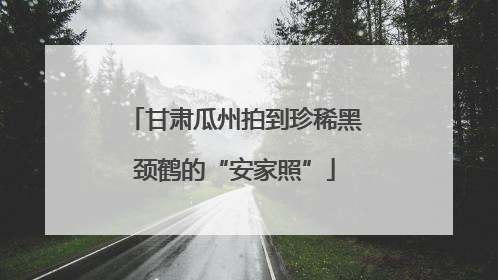 甘肃瓜州拍到珍稀黑颈鹤的“安家照”