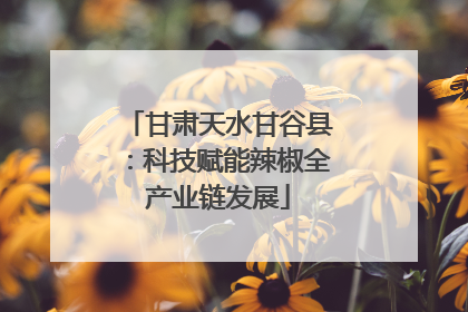 甘肃天水甘谷县：科技赋能辣椒全产业链发展