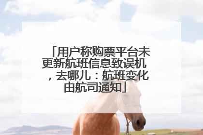 用户称购票平台未更新航班信息致误机，去哪儿：航班变化由航司通知